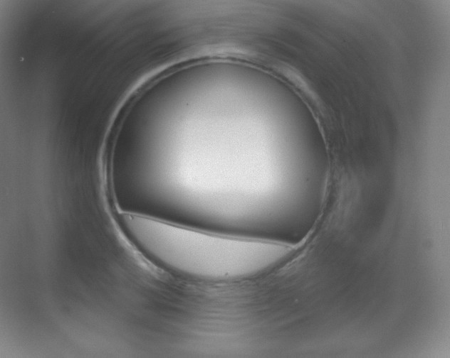 X0000070241032200606020927