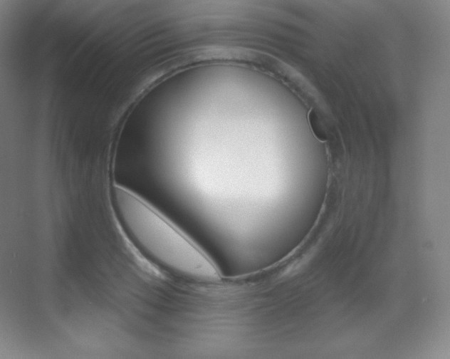 X0000070241033200606020927
