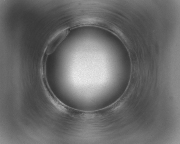 X0000070241034200606020927