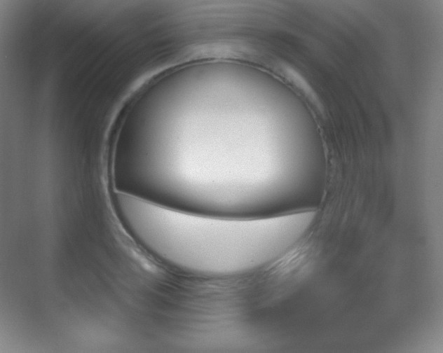 X0000070241035200606020927