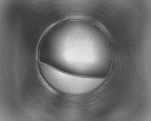 X0000070241036200606020927