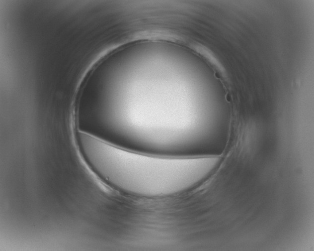 X0000070241040200606020927