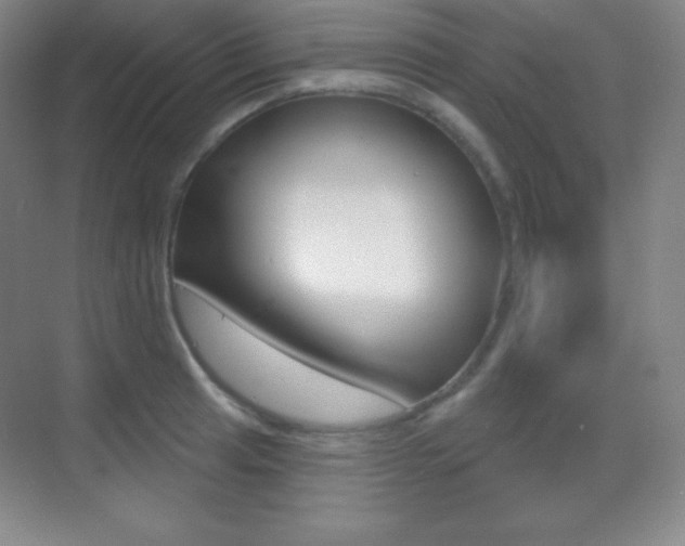 X0000070241041200606020927