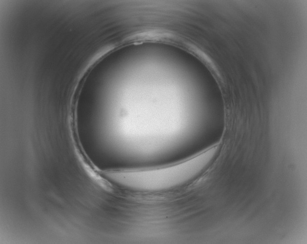 X0000070241042200606020927