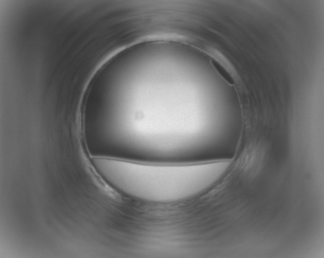 X0000070241044200606020927