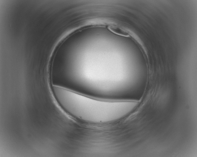 X0000070241045200606020927
