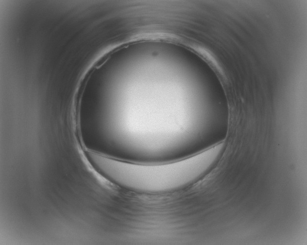 X0000070241046200606020927