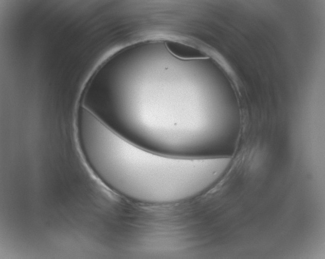 X0000070241048200606020927