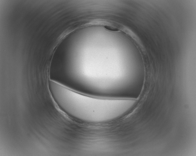 X0000070241049200606020928