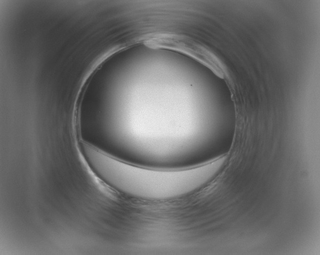 X0000070241050200606020928