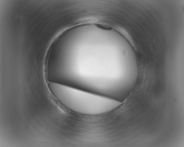 X0000070241051200606020928