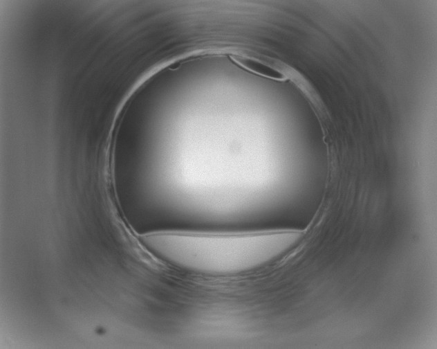 X0000070241052200606020928