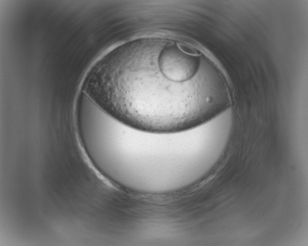 X0000070241053200606020928