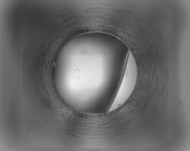 X0000070241057200606020927