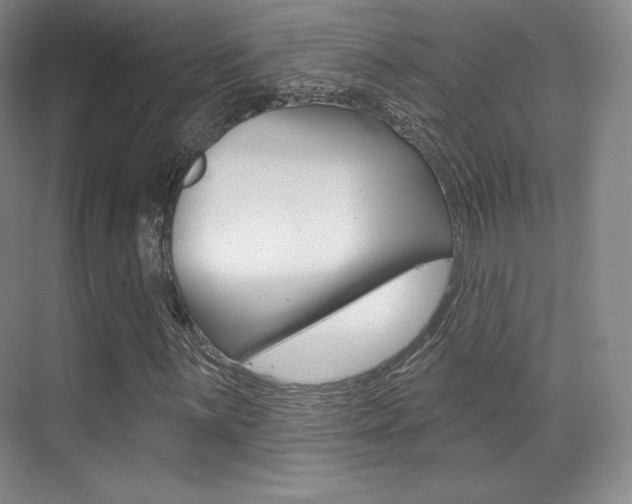 X0000070241059200606020927