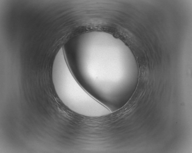 X0000070241060200606020927