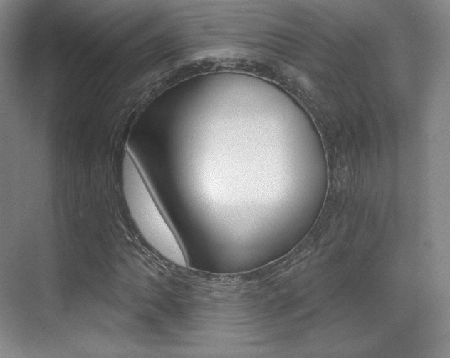 X0000070241062200606020927