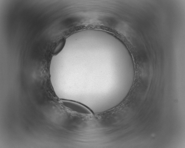 X0000070241063200606020927