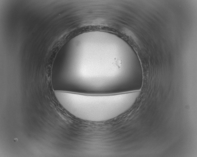 X0000070241064200606020927