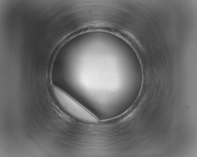X0000070241065200606020927