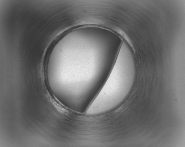 X0000070241072200606020927