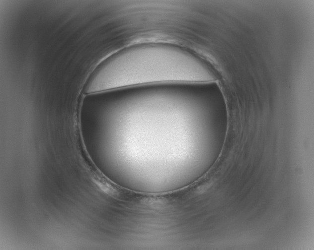 X0000070241073200606020927