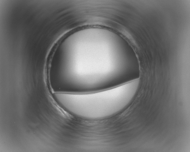 X0000070241076200606020926