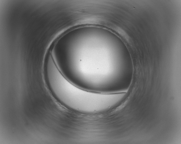 X0000070241077200606020926