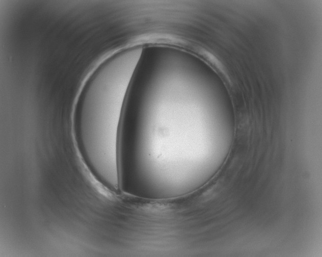 X0000070241082200606020926