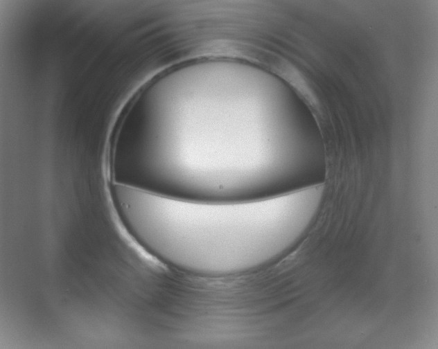 X0000070241084200606020926