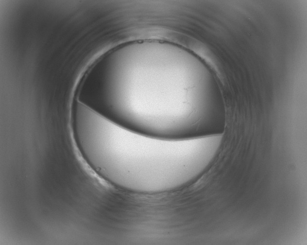 X0000070241088200606020926