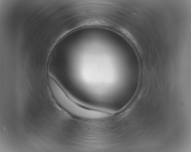 X0000070241089200606020926