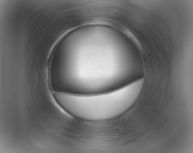 X0000070241092200606020926