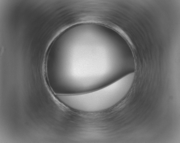 X0000070241101200606020926