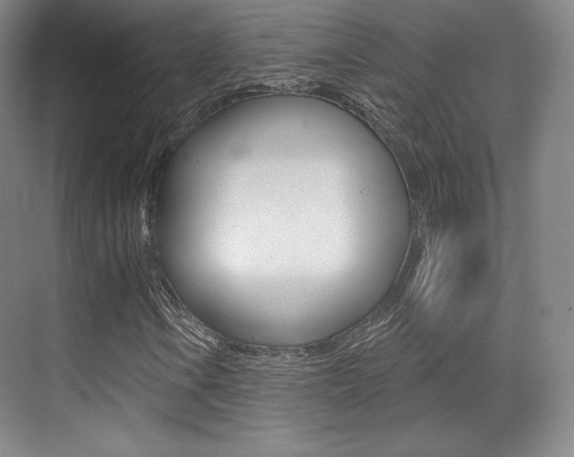 X0000070241106200606020925
