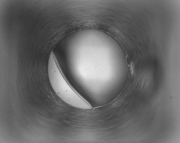 X0000070241107200606020925