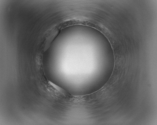 X0000070241110200606020925