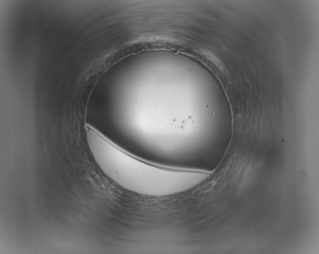 X0000070241111200606020925