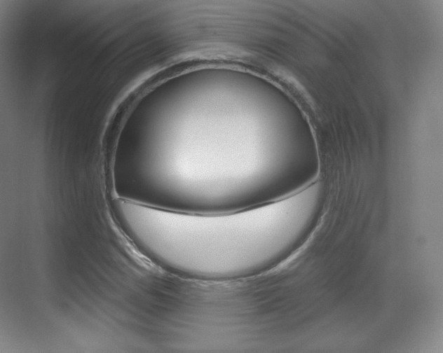 X0000070241114200606020925