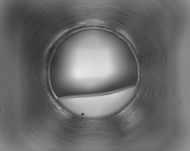 X0000070241115200606020925