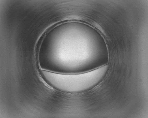 X0000070241116200606020925