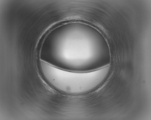 X0000070241118200606020925
