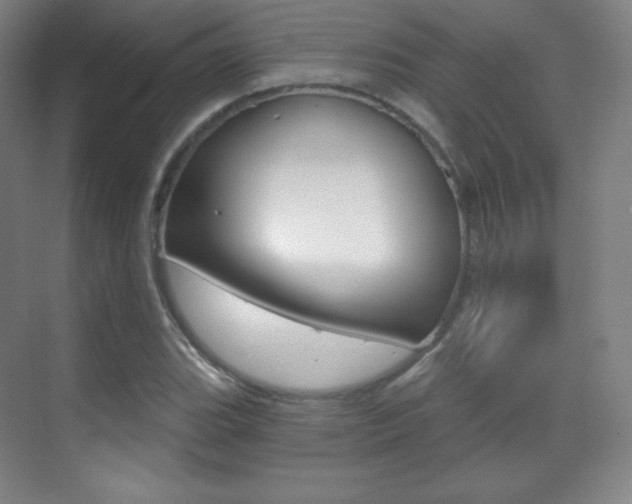X0000070241119200606020925