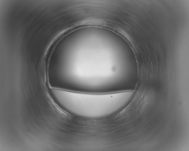 X0000070241123200606020925