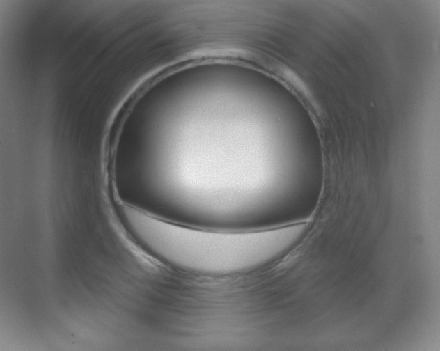 X0000070241124200606020926