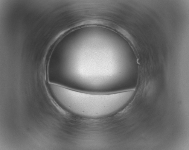 X0000070241127200606020926