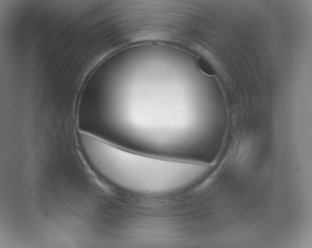X0000070241129200606020926
