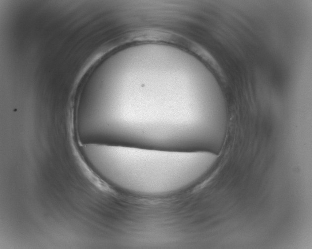 X0000070241130200606020926