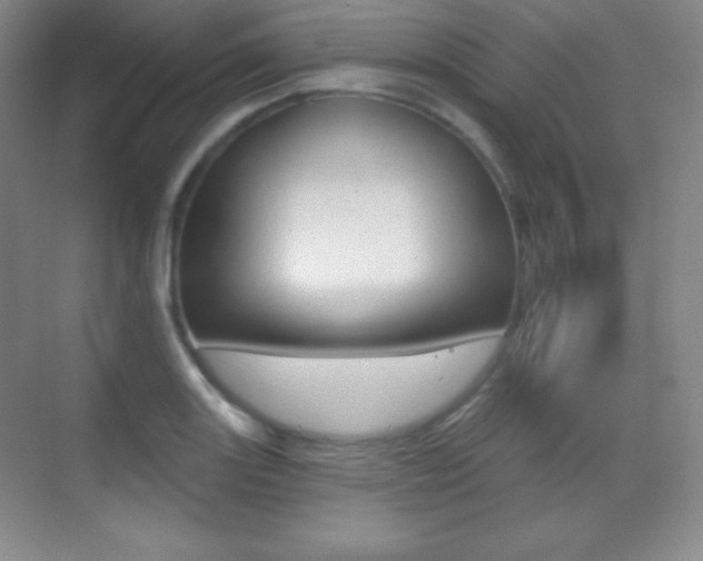 X0000070241131200606020926
