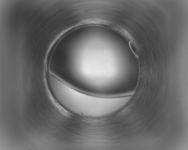 X0000070241132200606020926